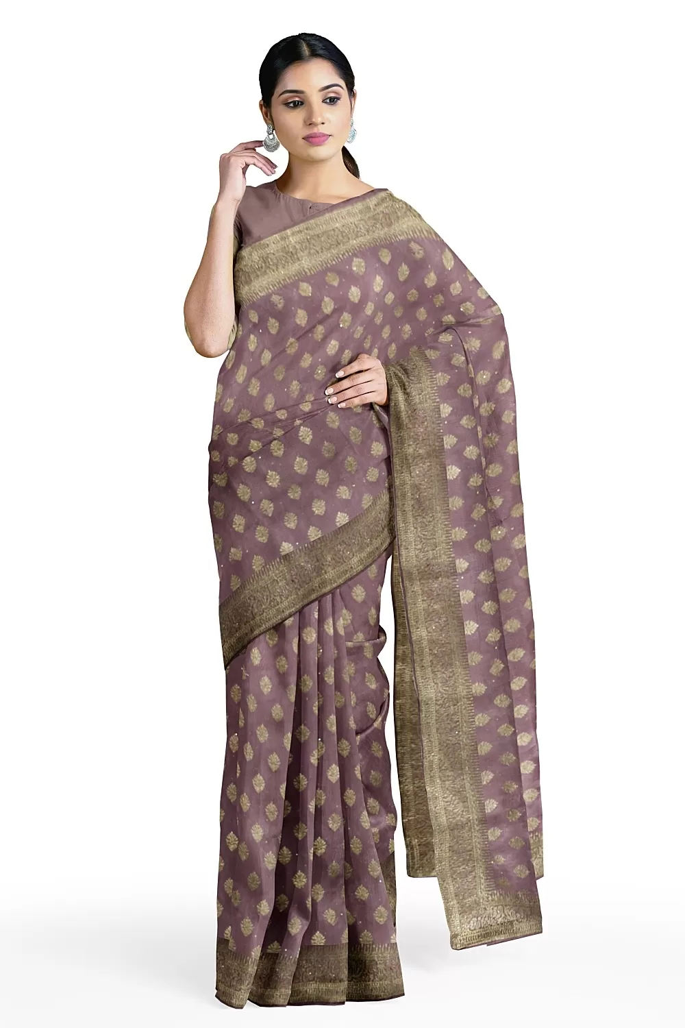 Moof Colour Chinnon Saree