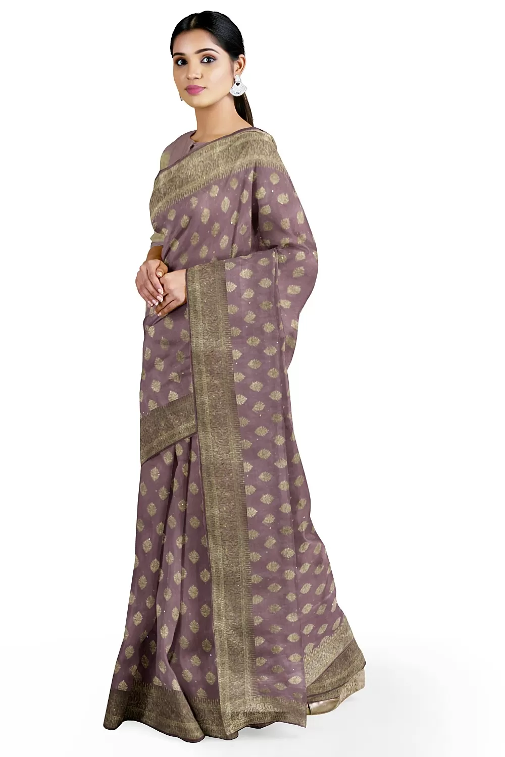 Moof Colour Chinnon Saree