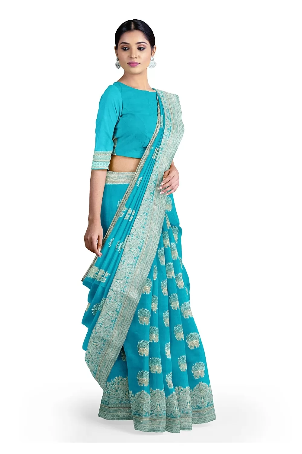 Firoji Colour Organza Saree